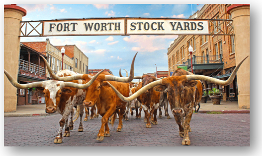 fortworth-s